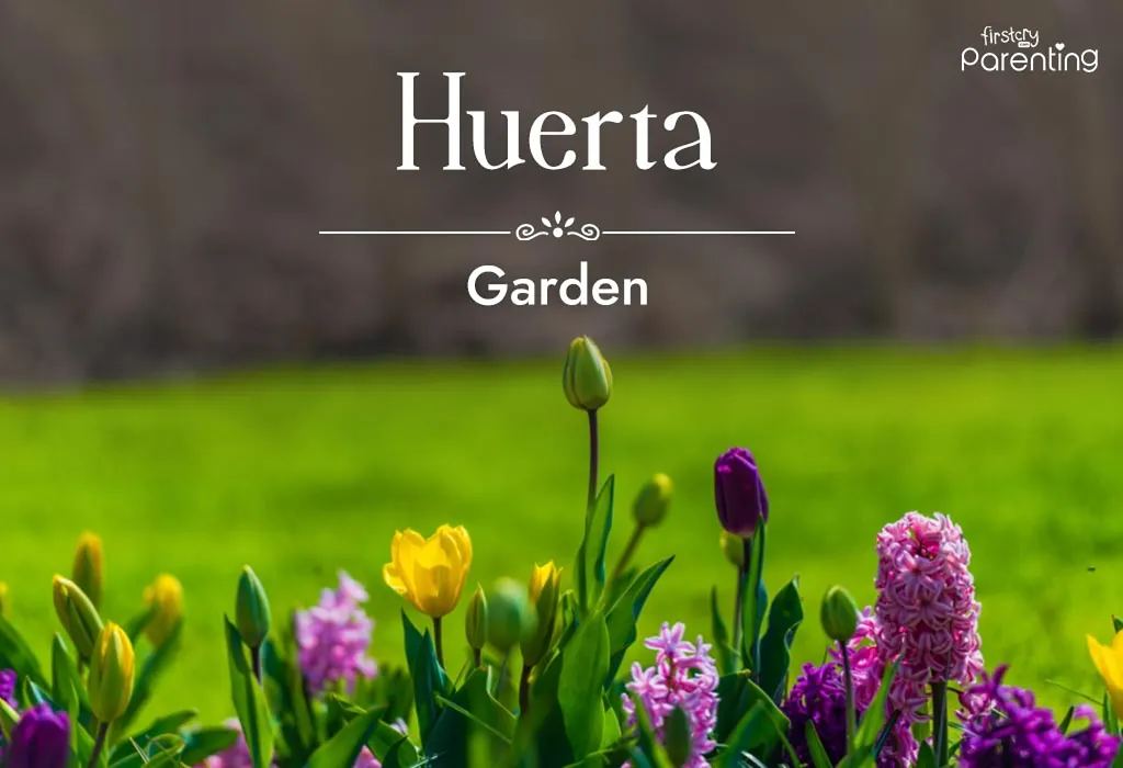 Huerta - Mexican Last Names or Surnames With Meanings
