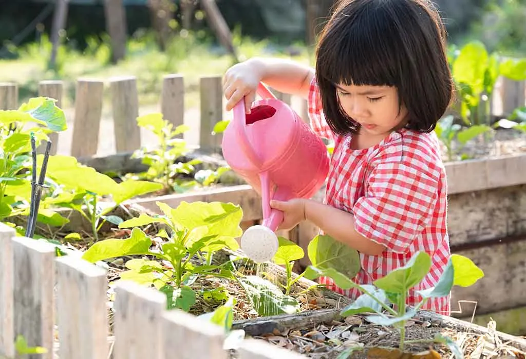 Plant Watering