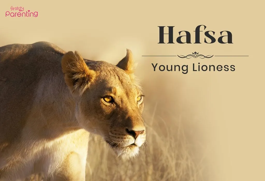 Hafsa - Arabic Girl Names with Meanings