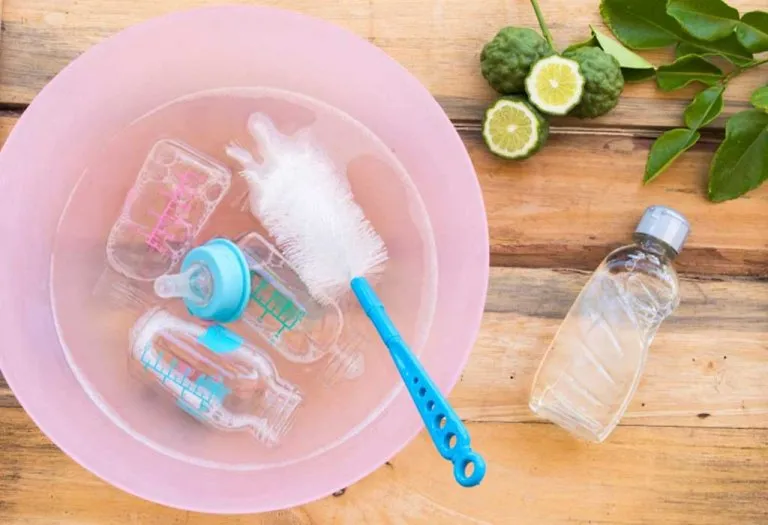 Babyhug Feeding Bottles, Accessories and Vegetables Disinfectant Liquid Cleanser Review