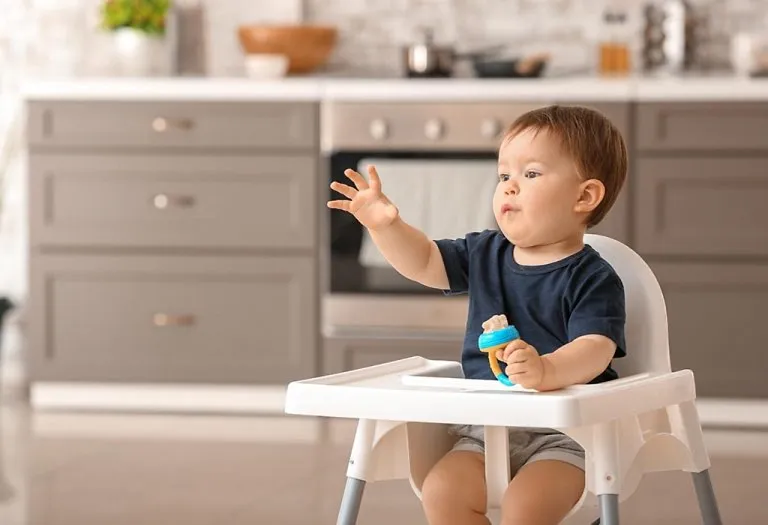 Babyhug 3 in 1 Comfy High Chair for Babies Review