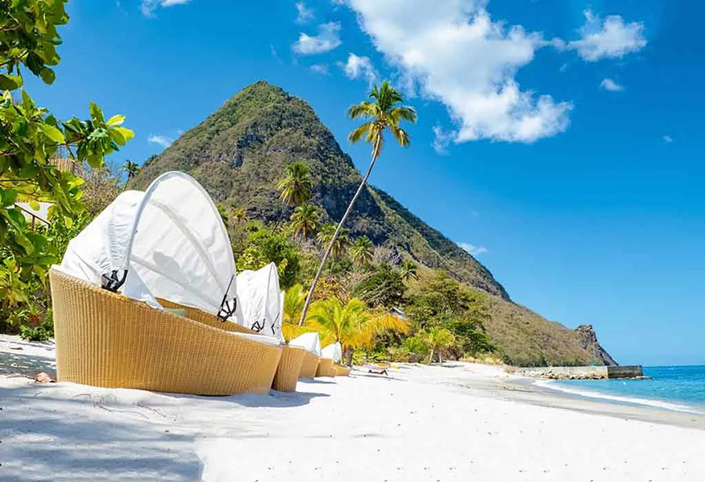 The Caribbean The Caribbean