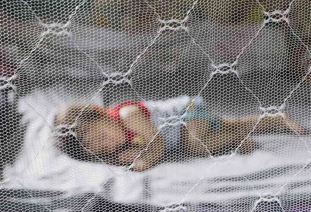 Baby sleeping inside a mosquito net