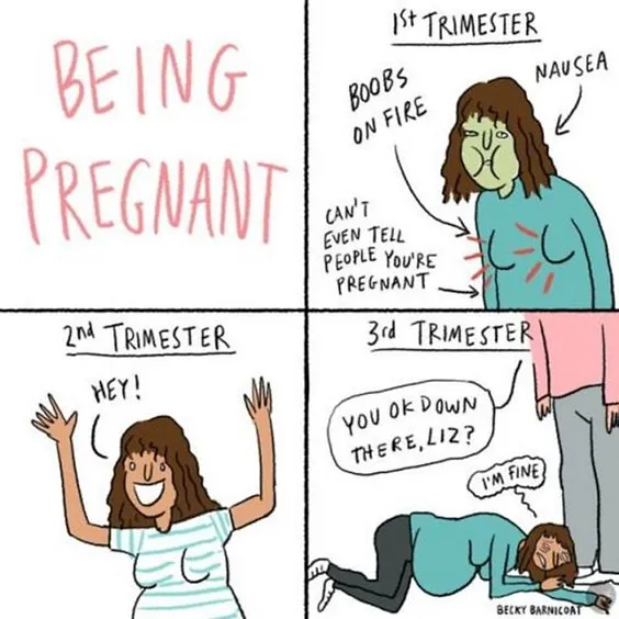 What Being Pregnant Is All About