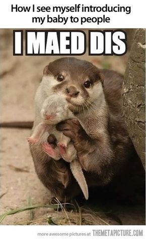 I Can See Myself Introducing My Newborn To Others