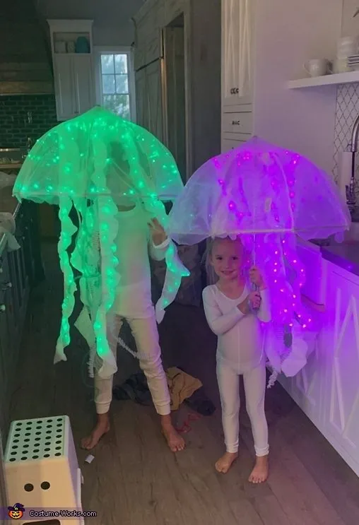Jellyfish Jellyfish