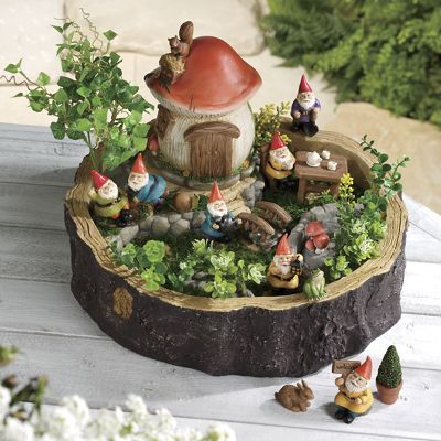 Gnome Fairy Garden