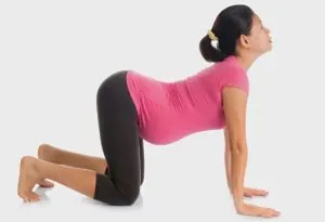 डाउनवर्ड डॉग