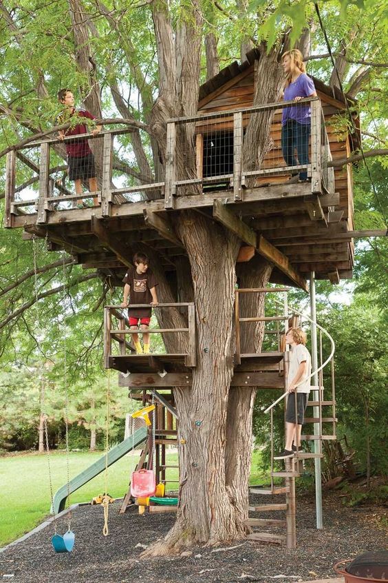 Treehouse Design Ideas Psoriasisguru