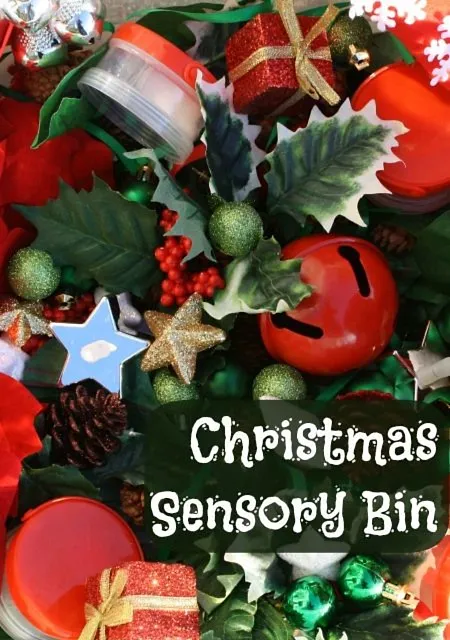 Christmas Sensory Bin