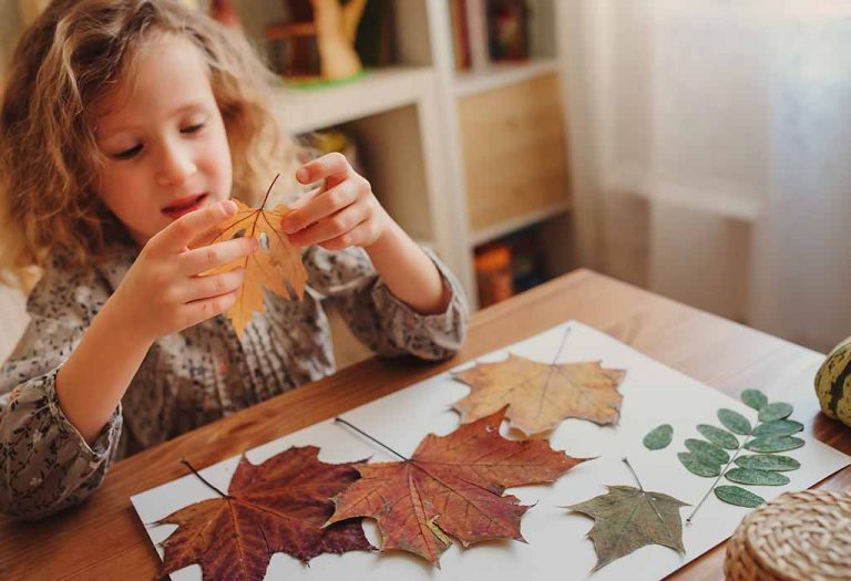 How to Make Leaf Rubbing Art for Kids