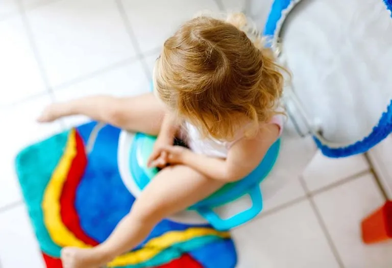 Babyhug Cushioned Potty Training Seat With Handle Review