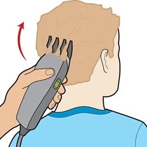 Using a Clipper
