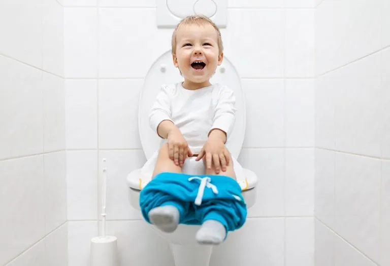 Review: Babyhug Cushioned Potty Training Seat with Handle for Toddlers