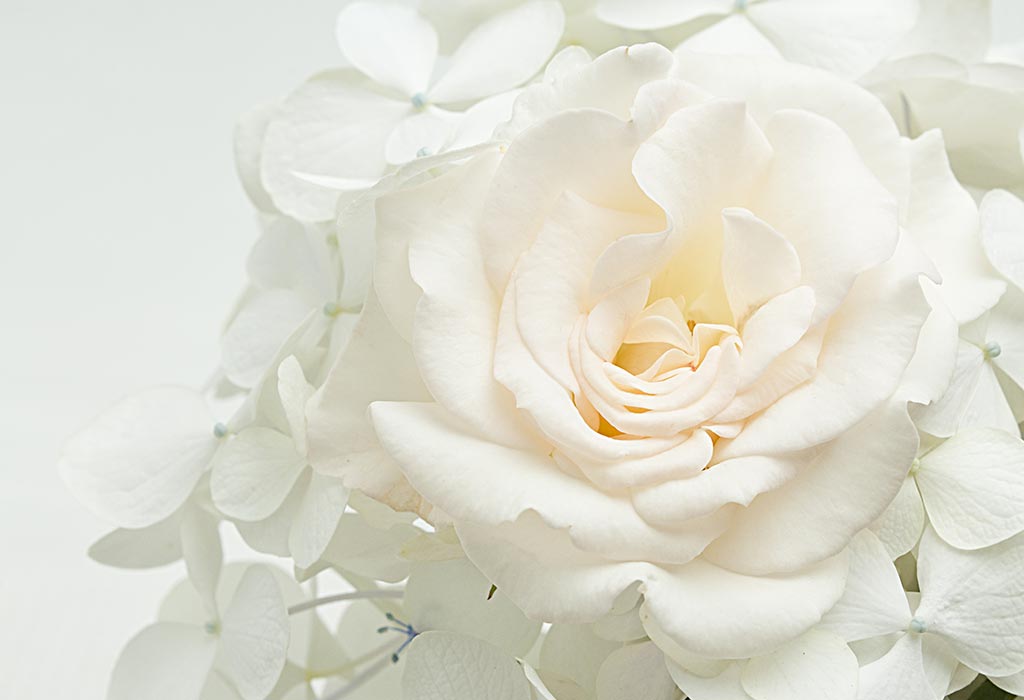 30 Bretons Baby Names for Girls With Meaning