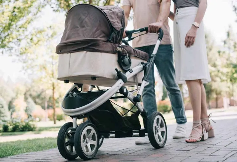 Babyhug Best Rhythm Stroller with Mosquito Net for Babies