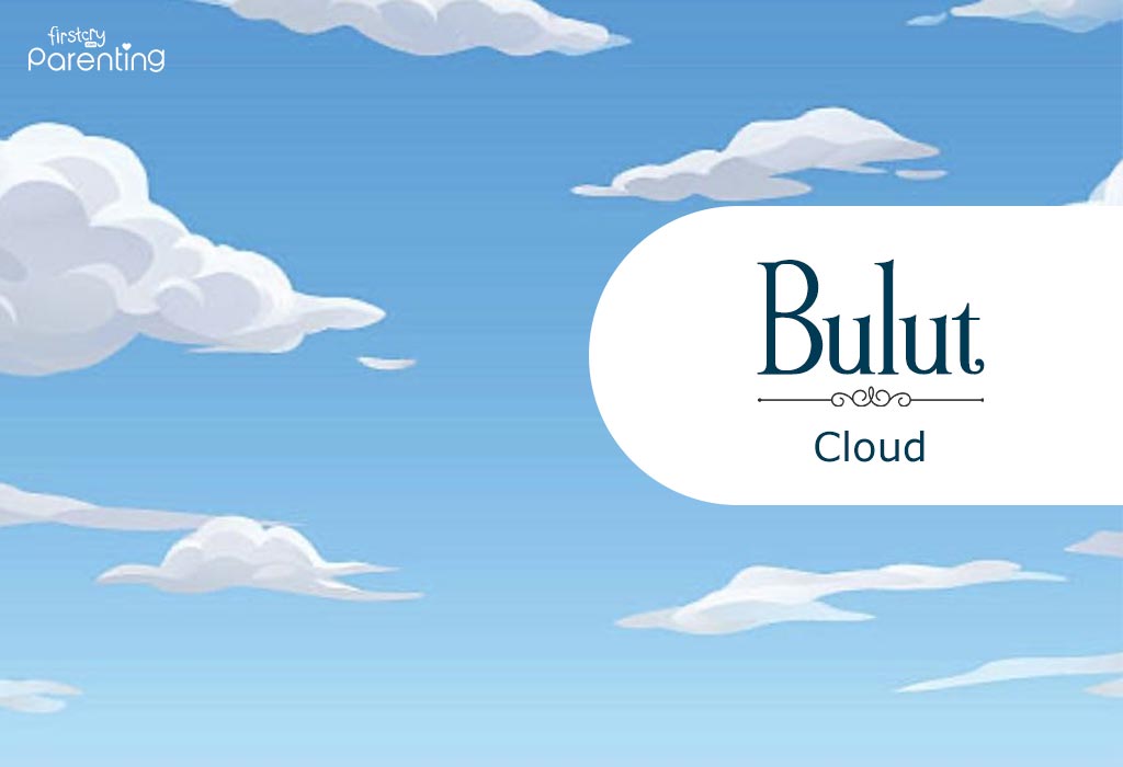 Turkish Last Names - Bulut