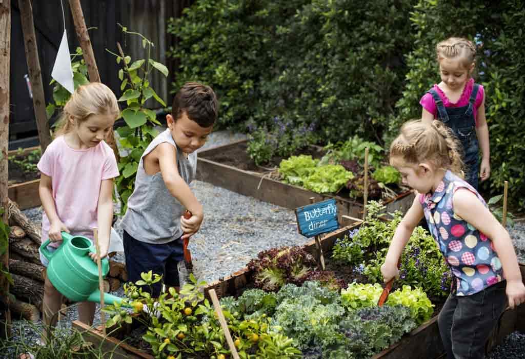 Growing a Mini-Garden