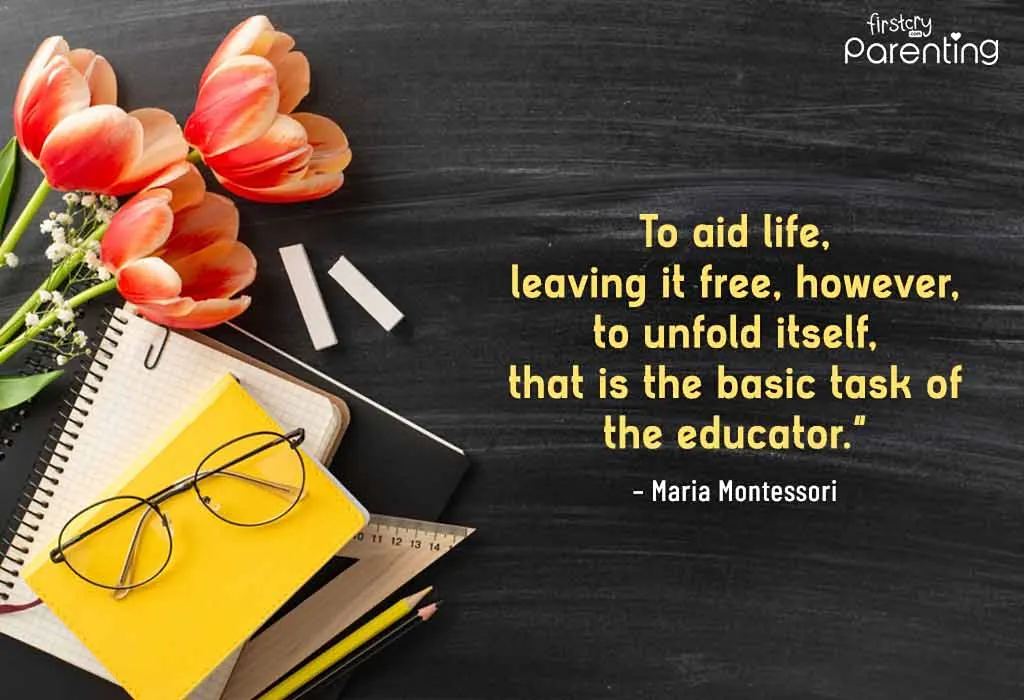 Teacher Appreciation Quotes