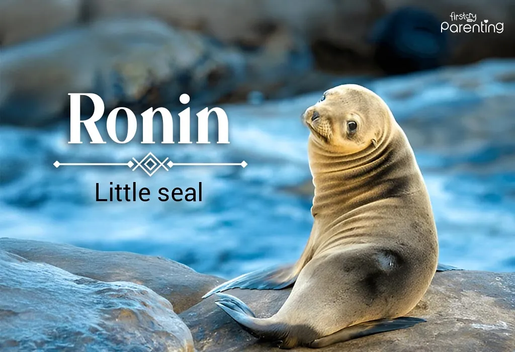 Ronin - Biracial Boy Names