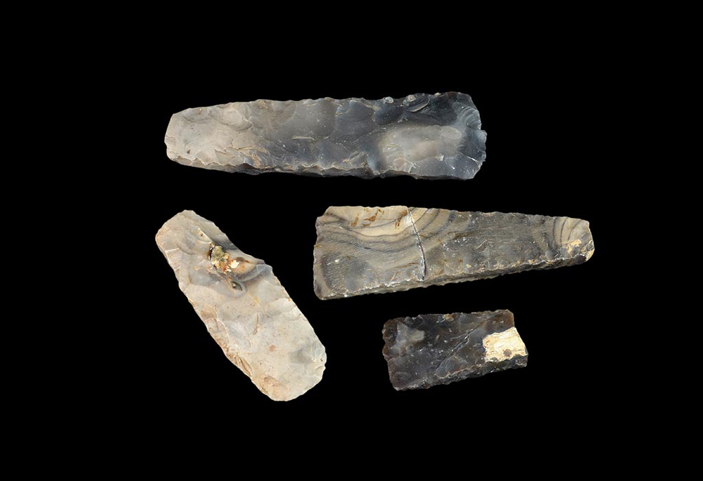 homo habilis tools and weapons