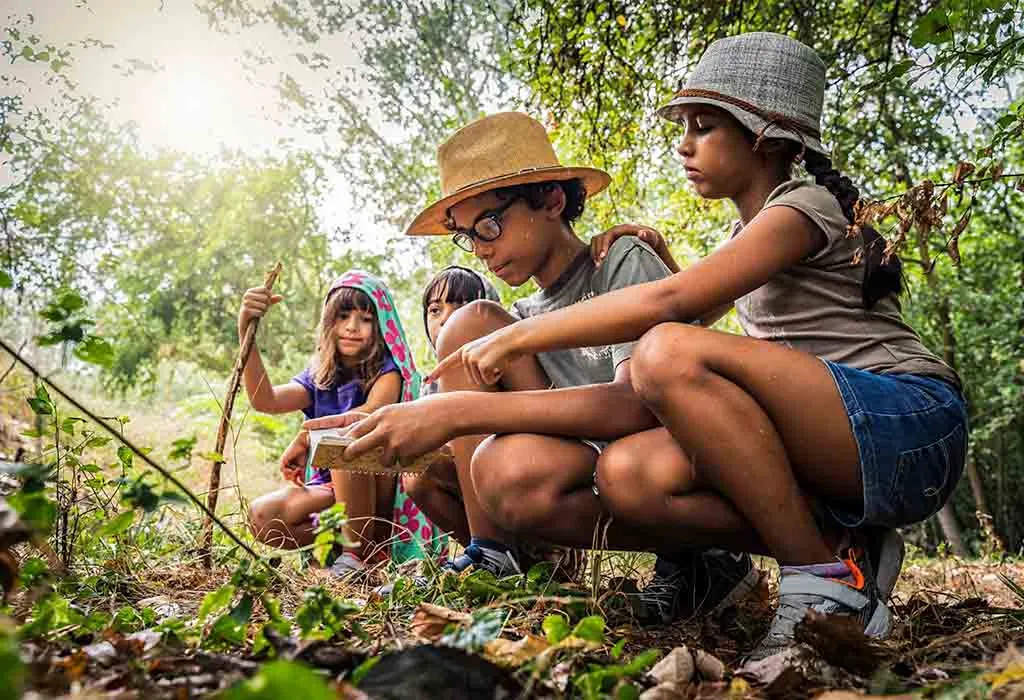 Surviving the Wilderness