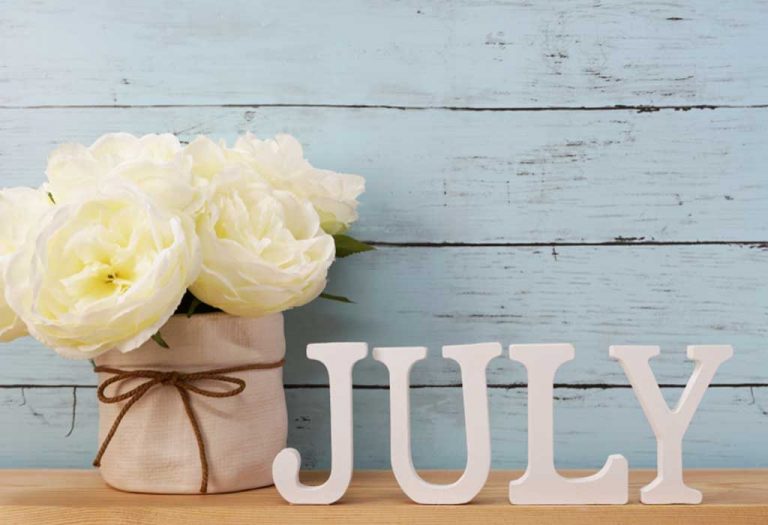 Special Days and Dates to Observe in July