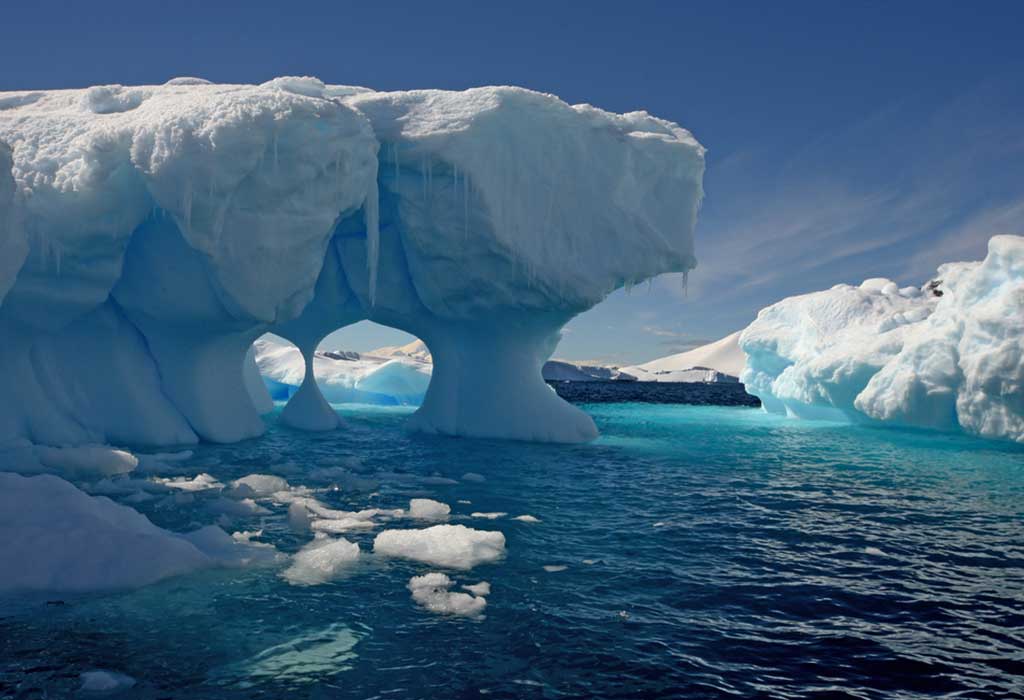 Interesting Information & Facts About Antarctica for Children