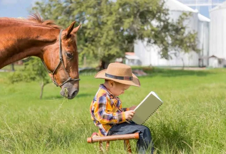 10 Interesting Horse Books For Kids
