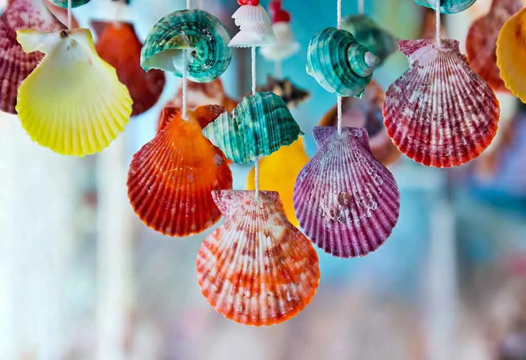 8 Pieces Seashells for Crafting Mix Ocean Shell Decorations Arts Supplies 