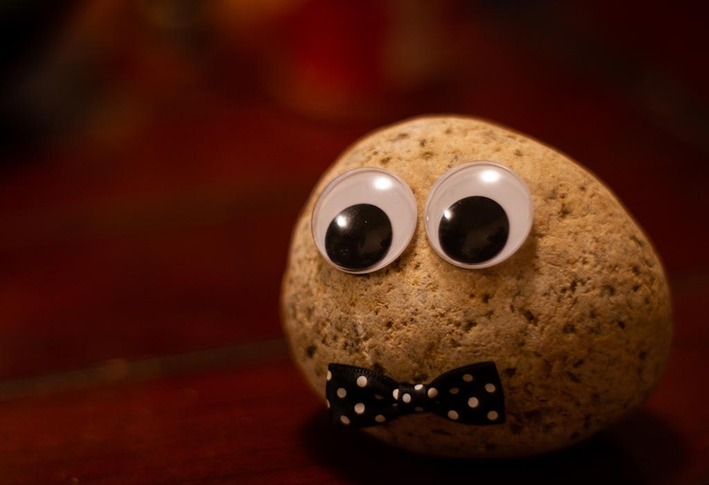 Easy Pet Rocks Craft Idea For Kids - Made In A Pinch