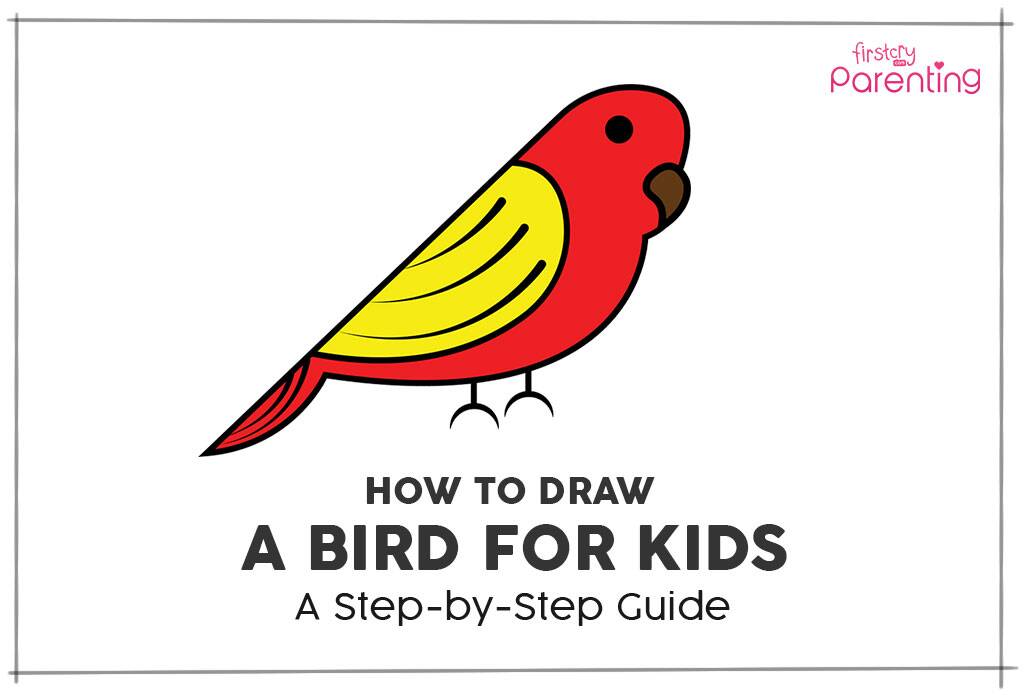 draw and colour a bird