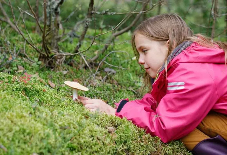 Interesting Educational Science Games for Kids