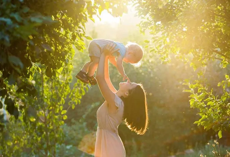 A Tulsi Plant and the Quest for 