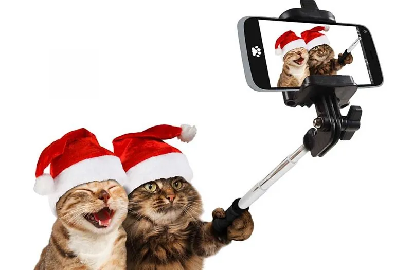 12 Funniest Christmas Memes That Will Make Your Holiday