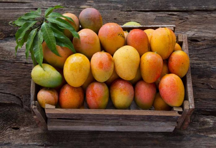 Four Varieties of Mango in India You Should Know About!
