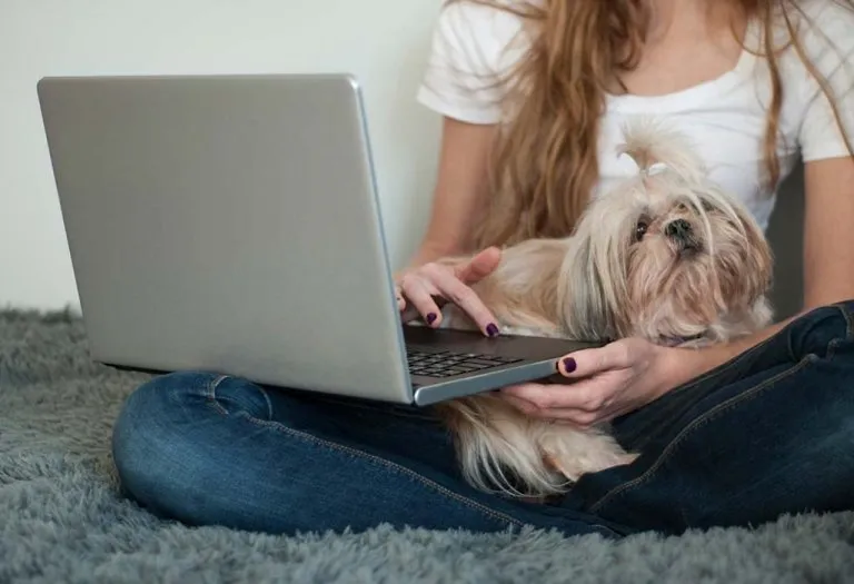 Dogs That Don't Shed - Top 20 Hypoallergenic Dog Breeds for Families