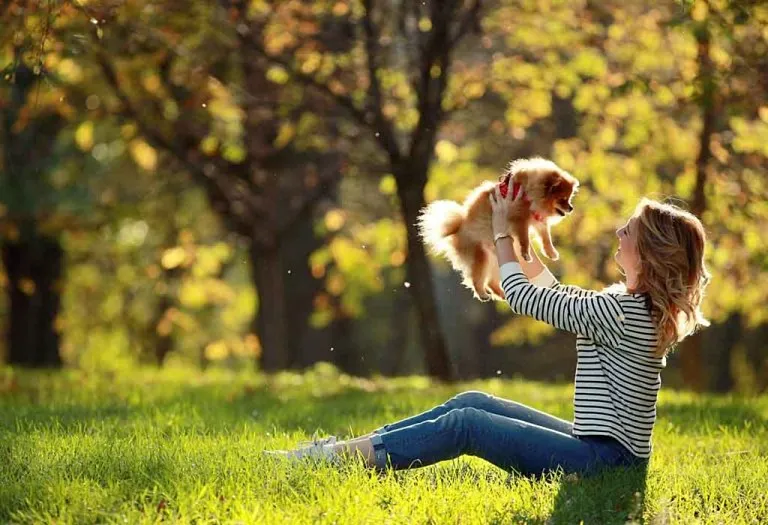 Best Small Dog Breeds That Will Stay Puppy-Sized Forever