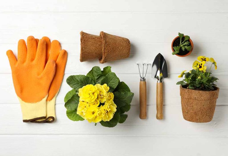 15 Best Toys and Gifts Ideas for a 7YearOld Girl