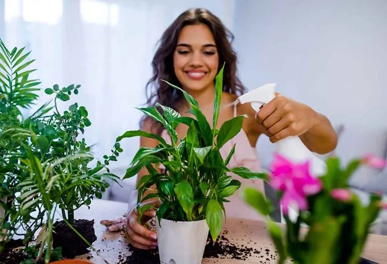 Top 20 Plants That Are Hard To Kill