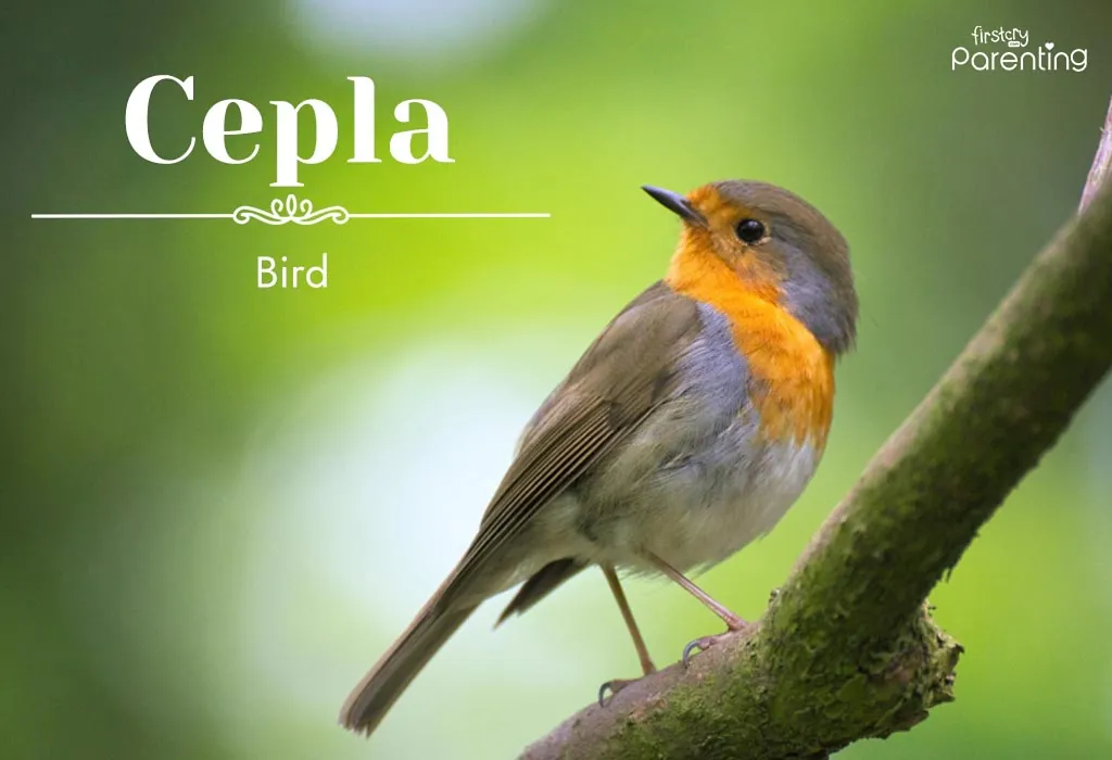 Cepla - Tibetan Names for Boys and Girls with Meanings