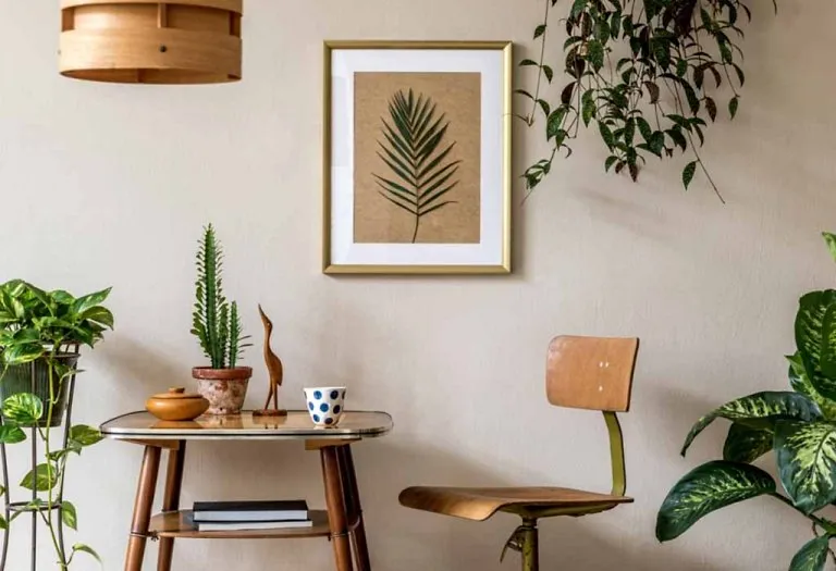 Easy Care Houseplants That Do Well In Low Light