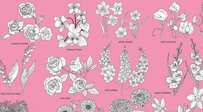 Top 80 Surnames Or Last Names Starting With M