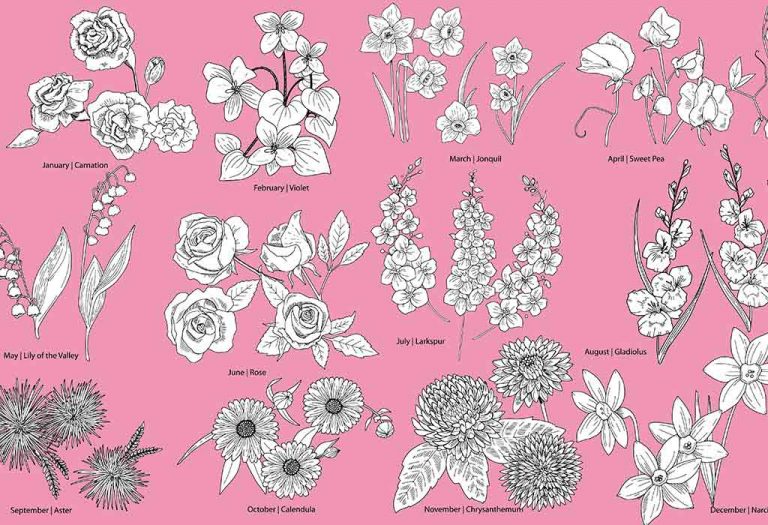 Birth Month Flowers, Their Meaning & More