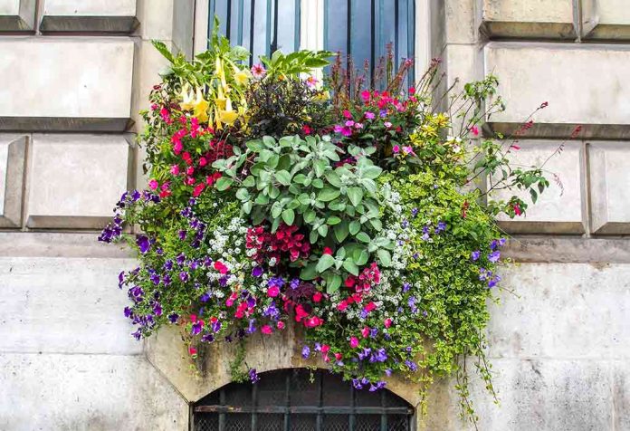 PRETTY WINDOW FLOWER BOX IDEAS FOR YOUR HOME