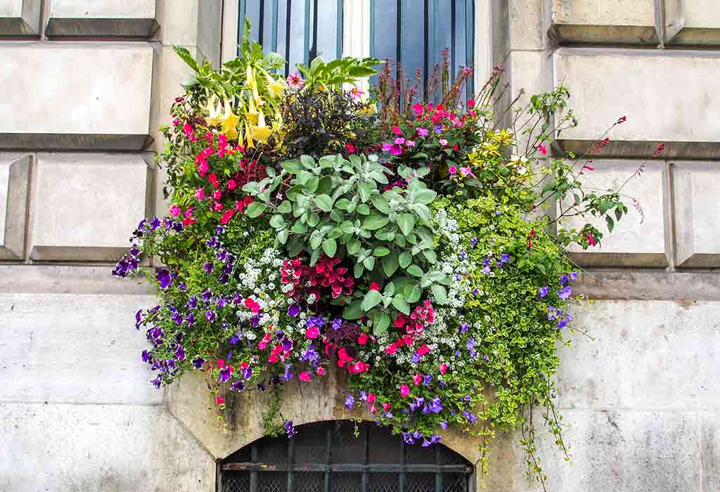 Pretty Window Flower Box Ideas For Your Home