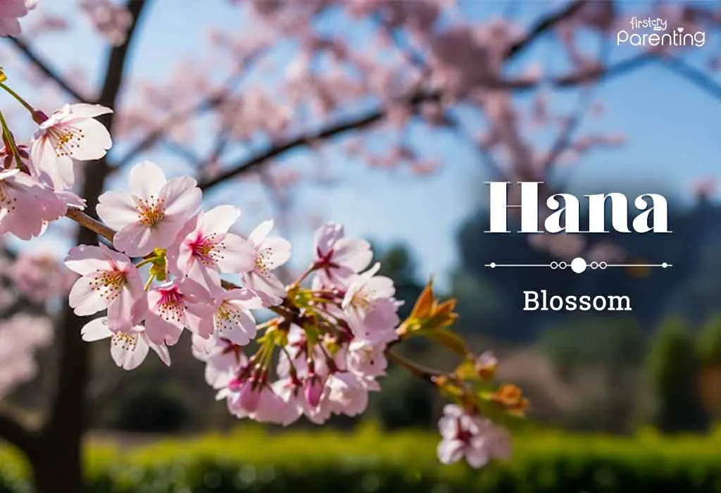 Hana - Anime Girl Names with Meanings