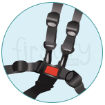 5-Point Harness