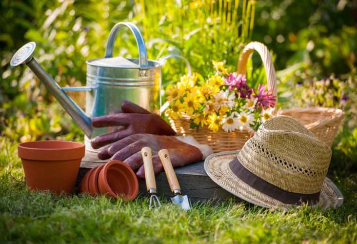 Best Gardening Gifts Ideas