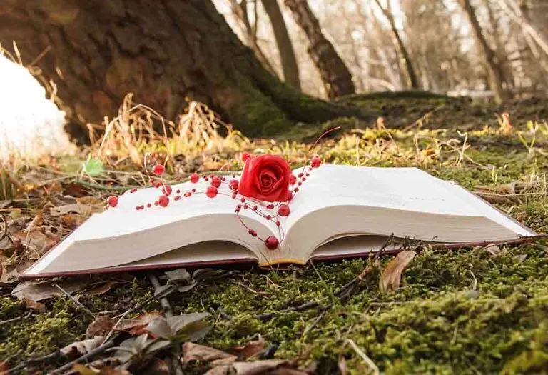 20 Greatest Romance Novels That Will Keep You Hooked In Till The Last Page
